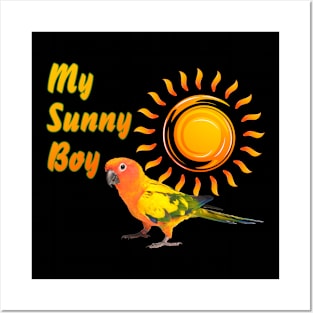 Sun Conure Parrot Sunny Sunshine Boy Posters and Art